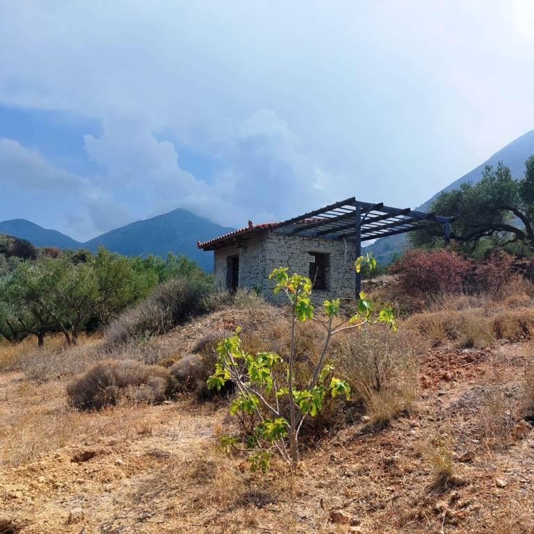 1 - vente terrain vue mer mókhlos crète grèce