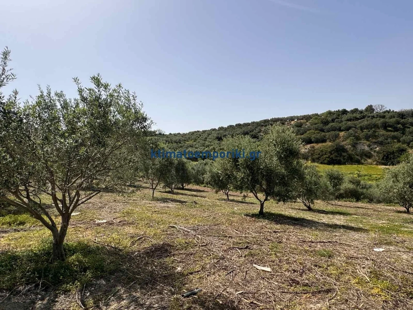 2 - vente terrain vue mer platanias crète grèce