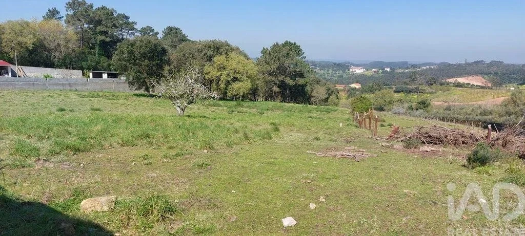 1 - verkauf grundstück aljubarrota region zentrum portugal