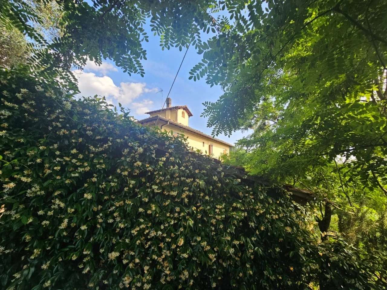 1 - venta casa pelago toscana italia