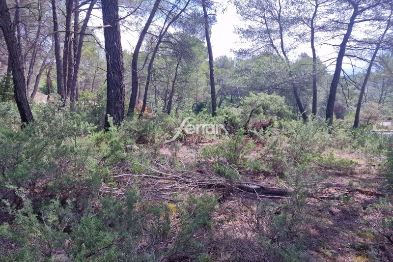 Terrain de 458 m²