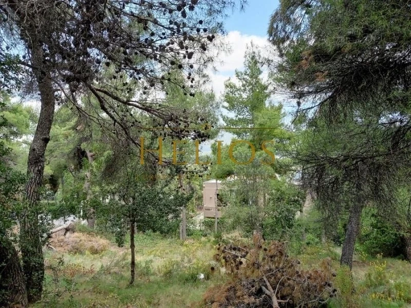 2 - vendita terreno ekali attica grecia