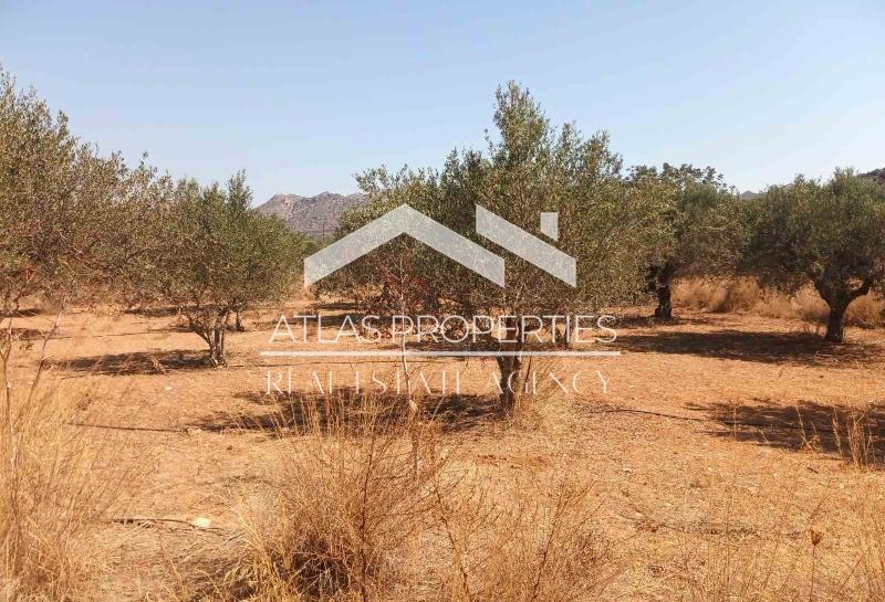 1 - plot of land for sale in akrotiri crete greece