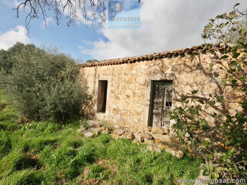2 - vente propriété luogosanto sardaigne italie