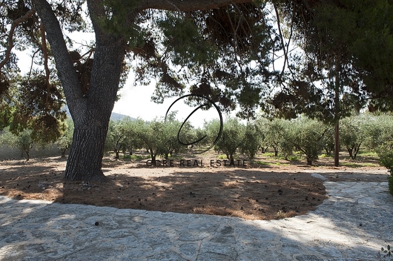 1 - vente terrain plage à pied ermióni péloponnèse grèce