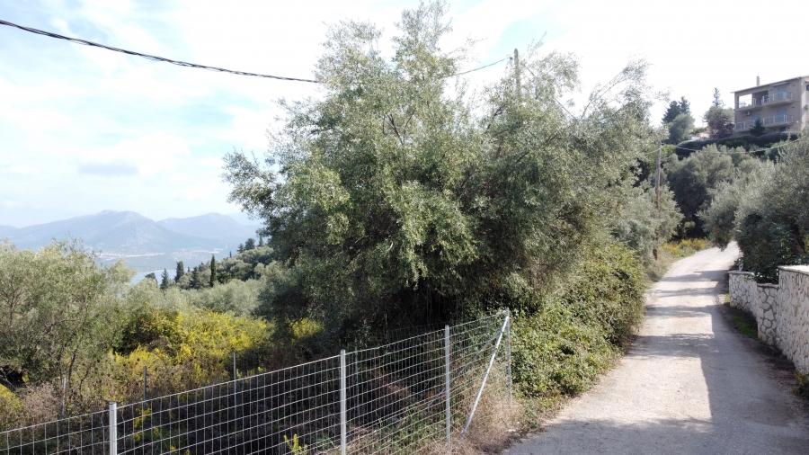 2 - vente terrain vue mer lefkada îles ioniennes grèce