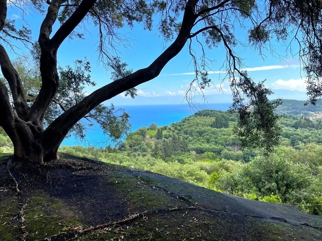 1 - vente terrain vue mer sidári îles ioniennes grèce