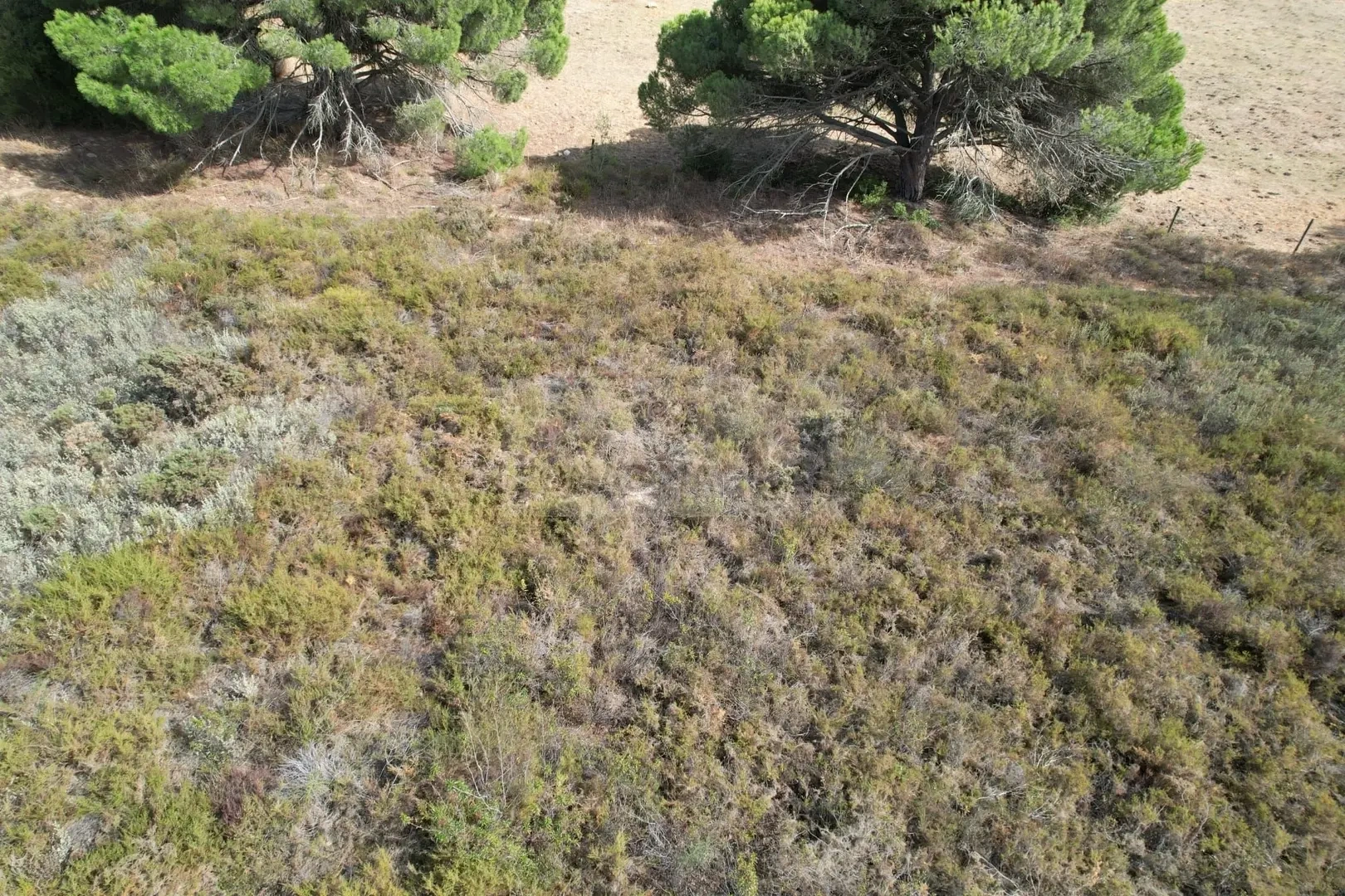 2 - vente terrain lagos algarve portugal