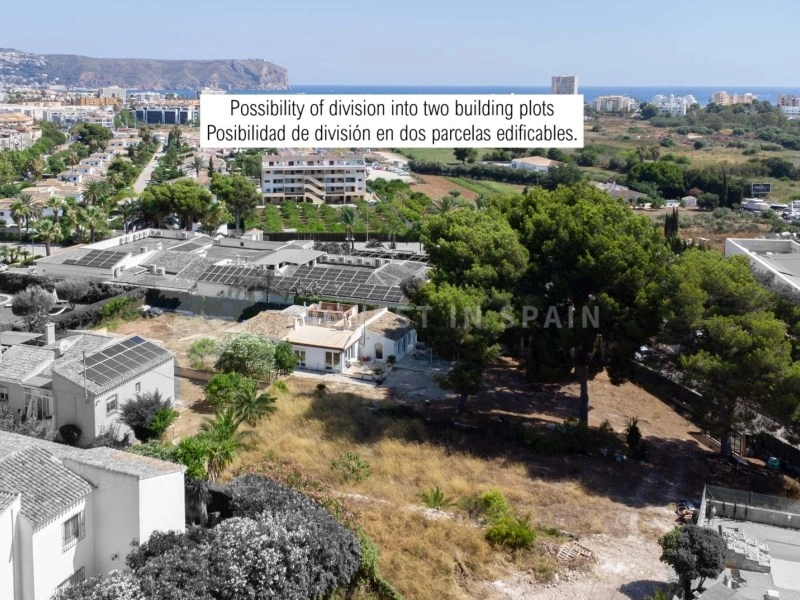 Terreno de 2 600 m²