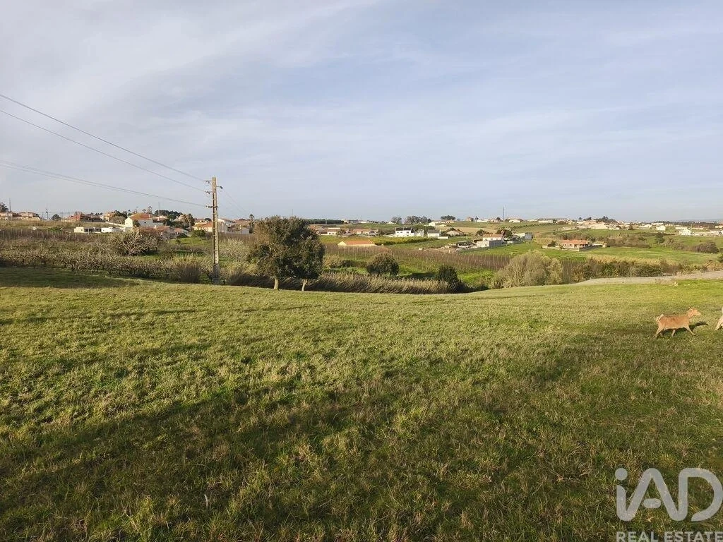 1 - venta terreno cela región centro portugal