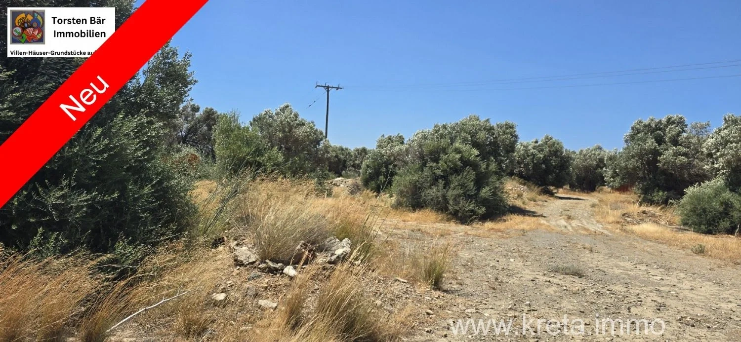 1 - vente terrain agia galini crète grèce