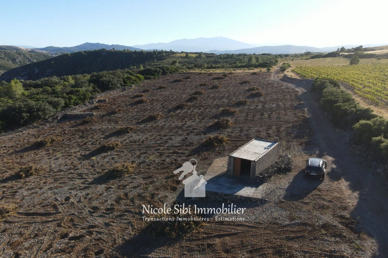 1 - venta terreno tautavel pirineos orientales francia