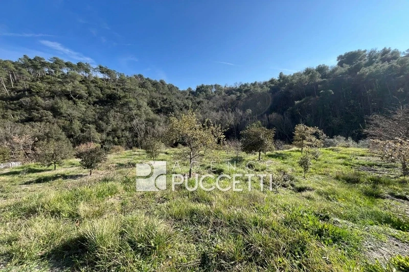 1 - plot of land for sale in vence alpes-maritimes france