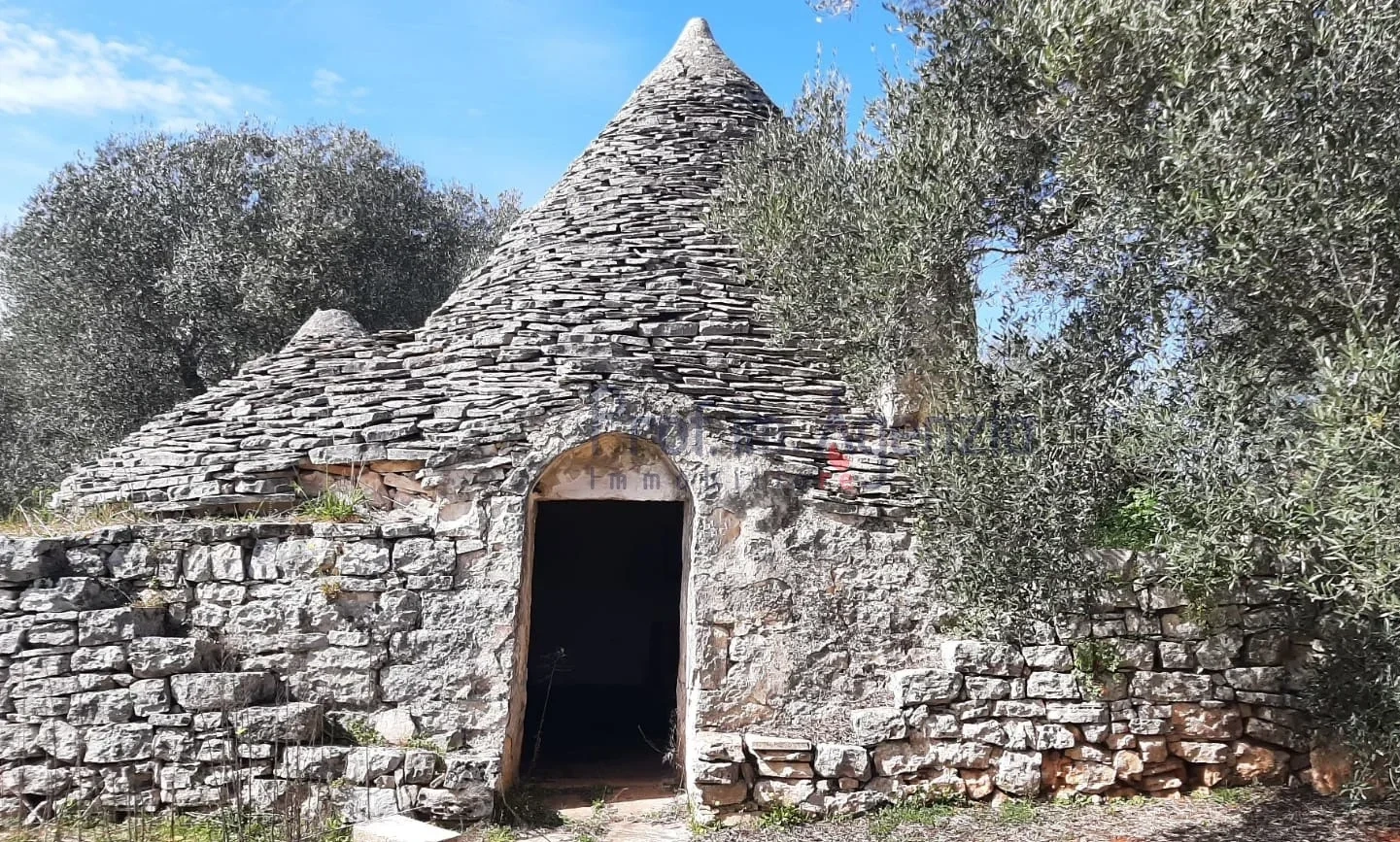 2 - vendita proprietà ceglie messapica puglia italia