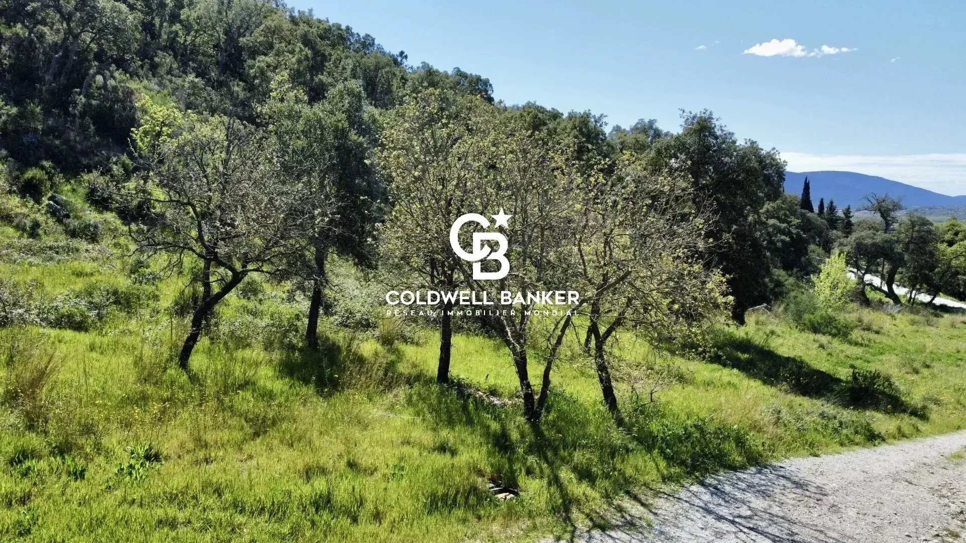 1 - venta terreno grimaud var francia