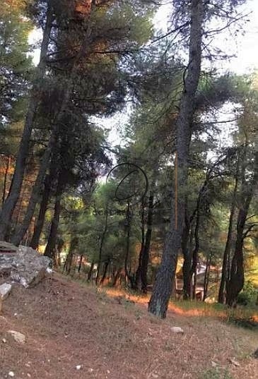 2 - vente terrain dionysos attique grèce