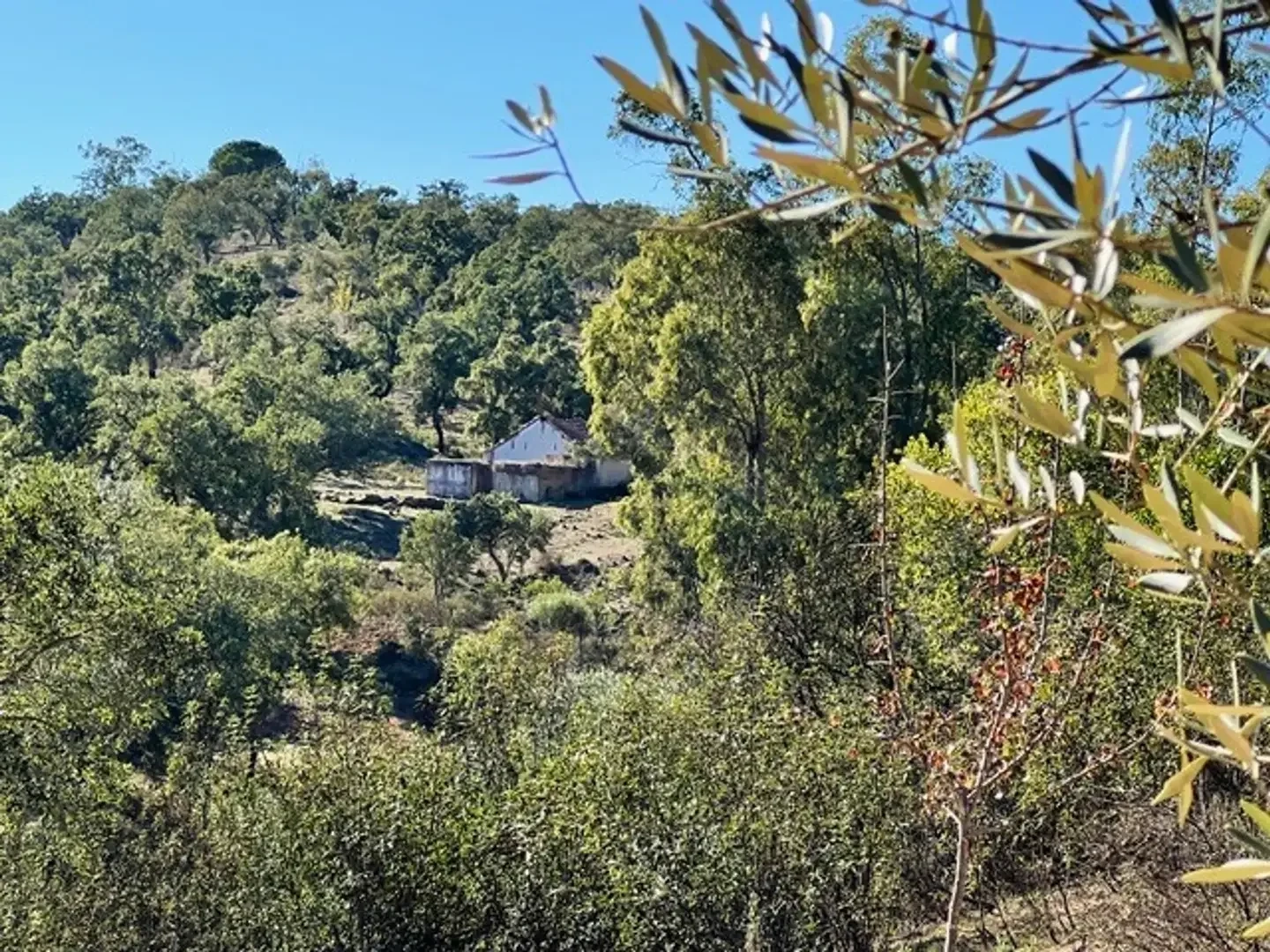 2 - verkauf grundstück grândola alentejo portugal