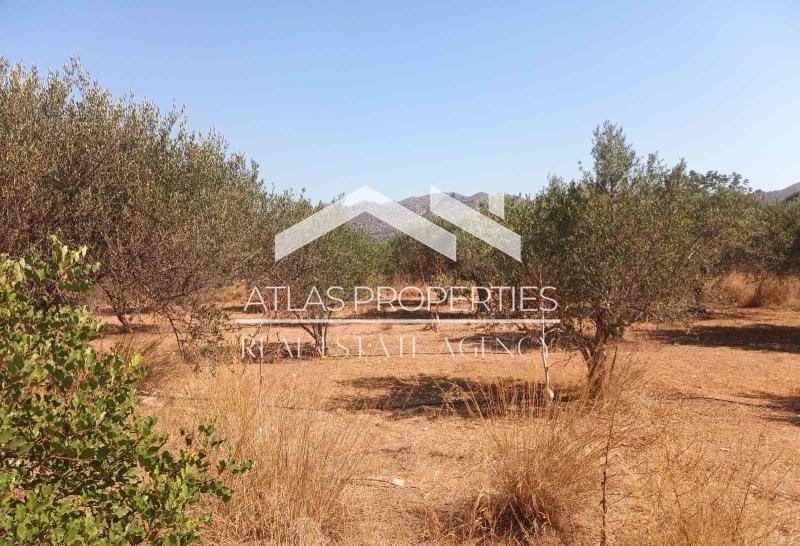 2 - plot of land for sale in akrotiri crete greece