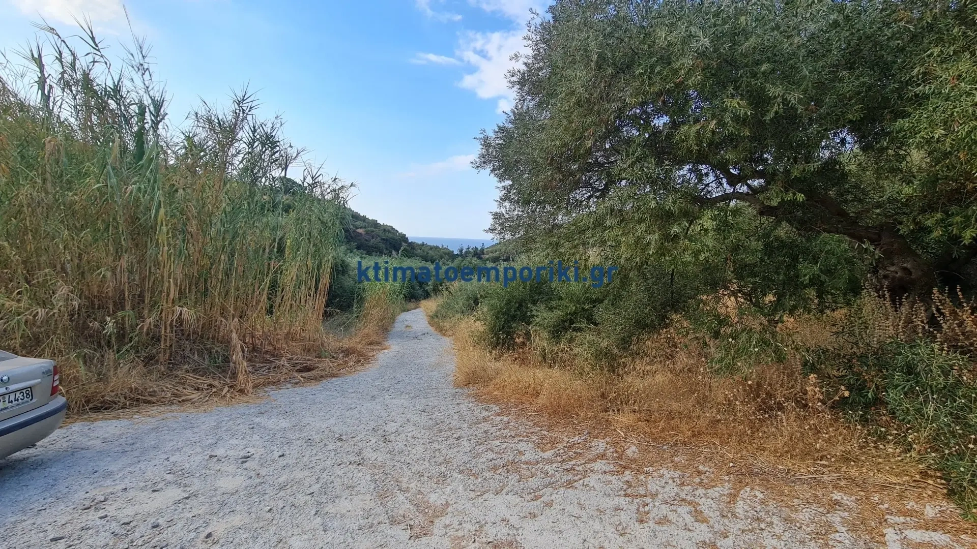 1 - vendita terreno platanias creta grecia