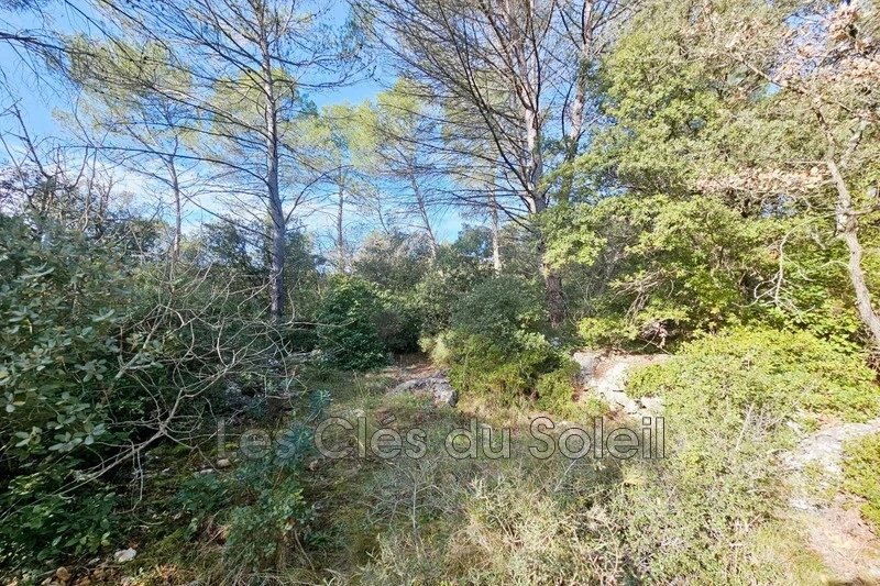 1 - vente terrain camps-la-source var france