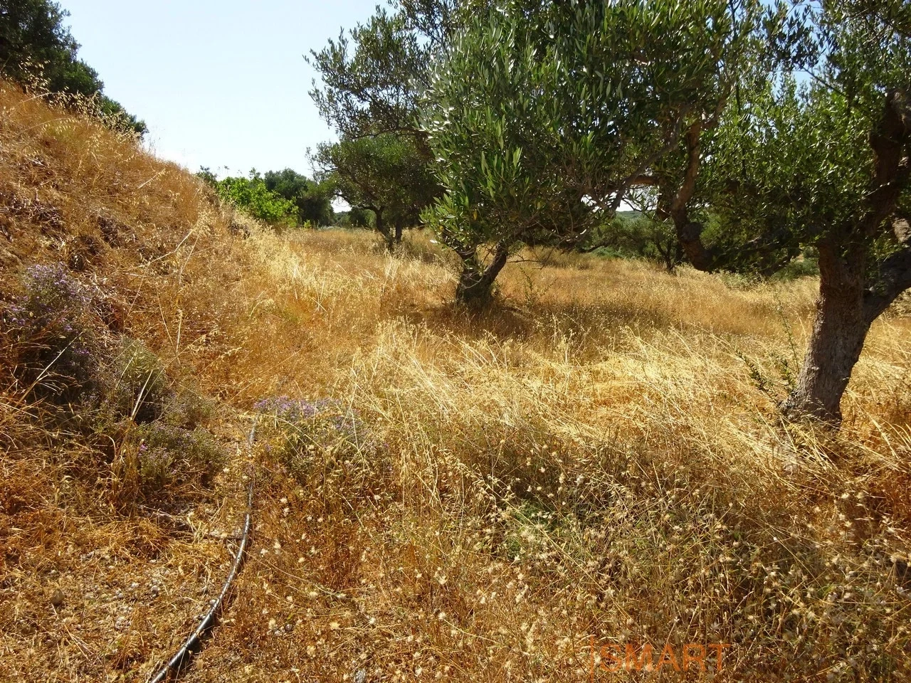 1 - plot of land for sale in elia crete greece