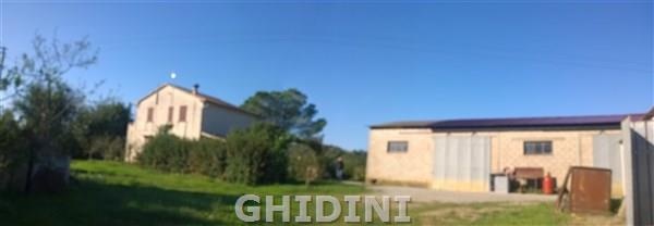 1 - vente commerce scansano toscane italie