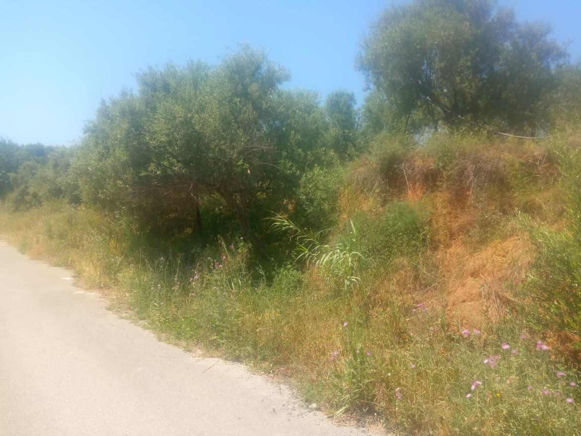 2 - vente terrain vue mer máleme crète grèce