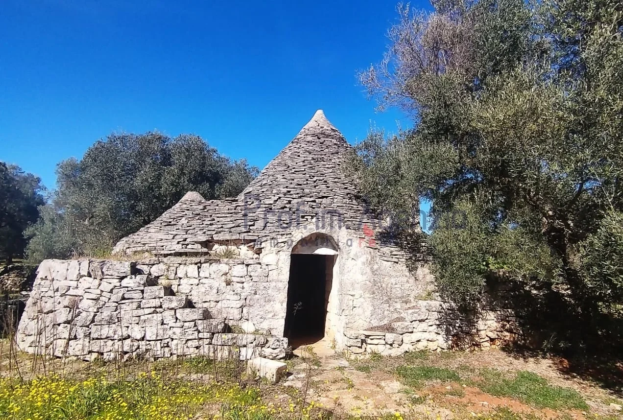 1 - vendita proprietà ceglie messapica puglia italia