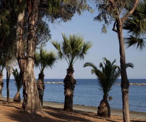 1 - vente appartement limassol limassol chypre