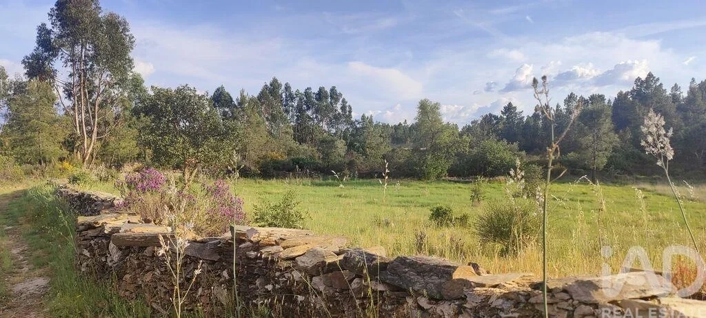 2 - venta propiedad castelo branco región centro portugal