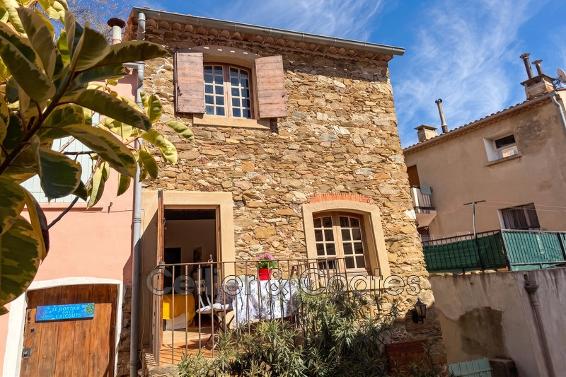 1 - house for sale in bormes-les-mimosas var france