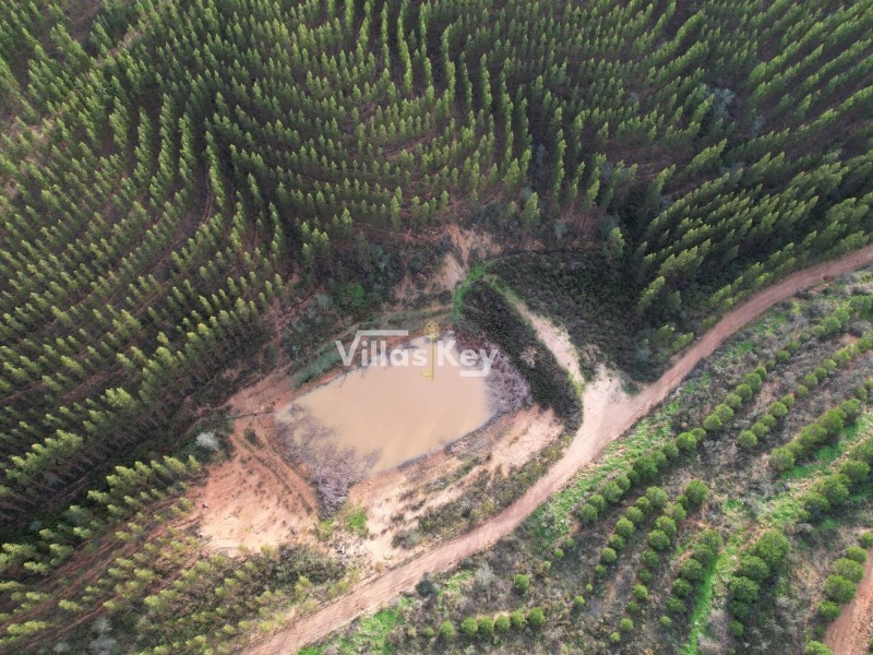 1 - vendita proprietà odemira alentejo portogallo