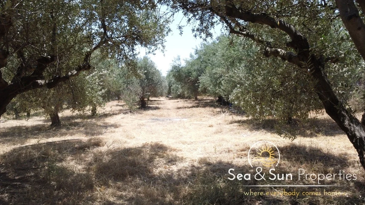 1 - venta terreno vista al mar platanias creta grecia