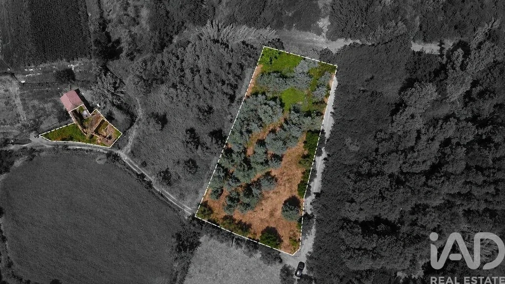 1 - villa for sale in lousã centro region portugal