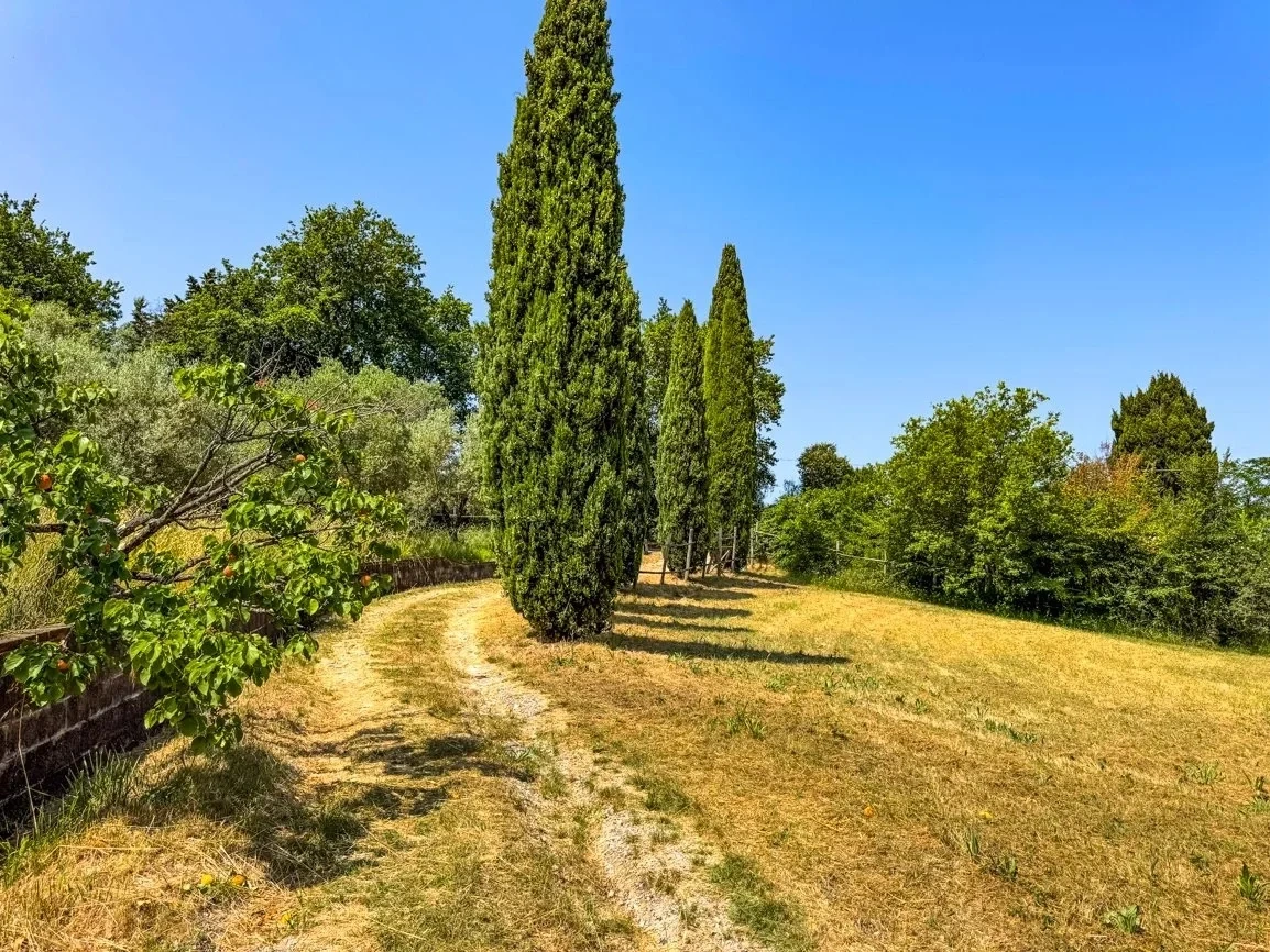 1 - vendita casa vista mare montescudaio toscana italia