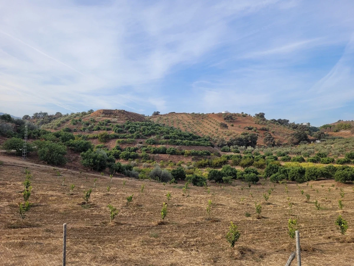 Terreno de 110 000 m²