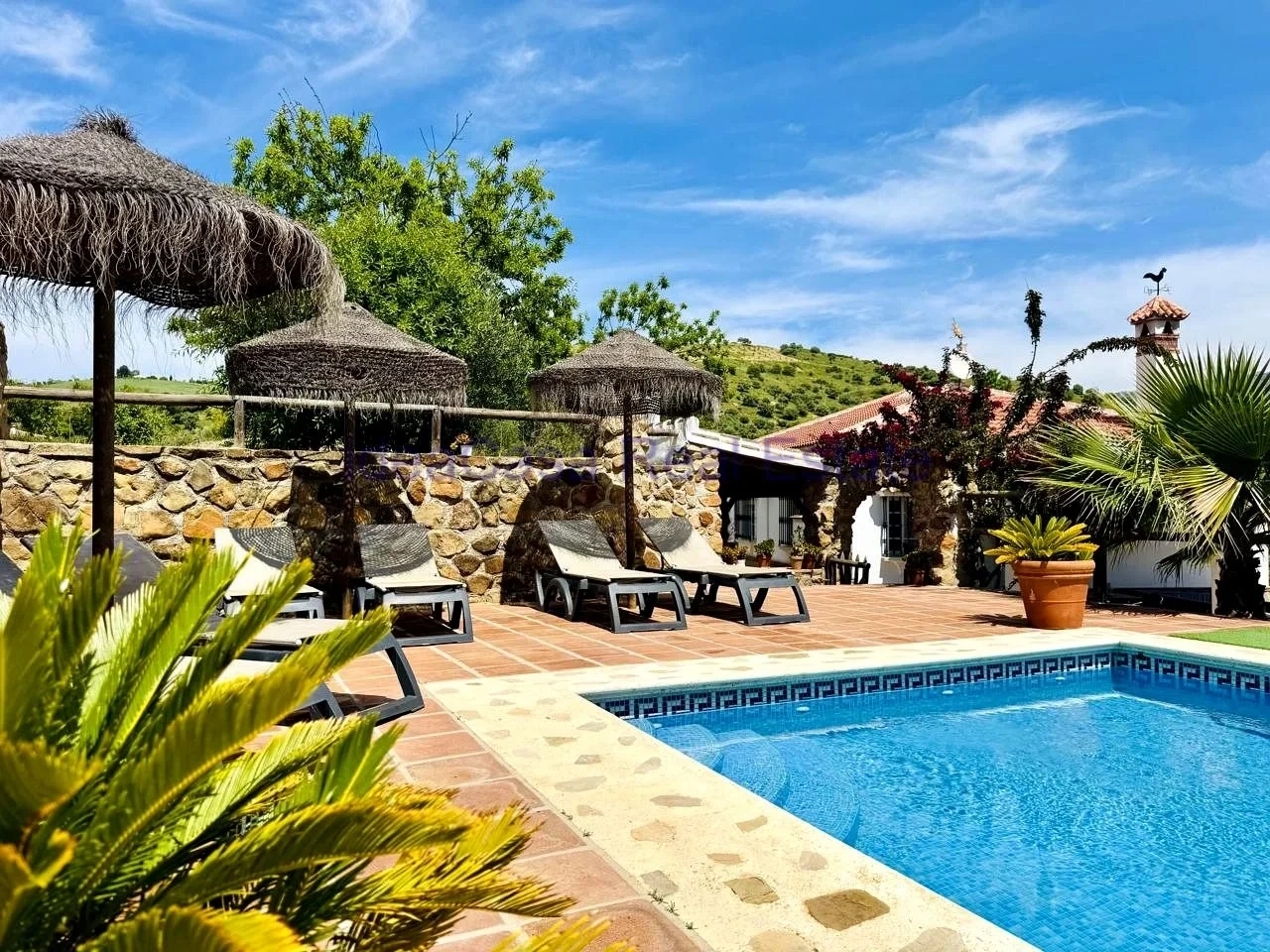 2 - vente maison villanueva de la concepcion andalousie espagne