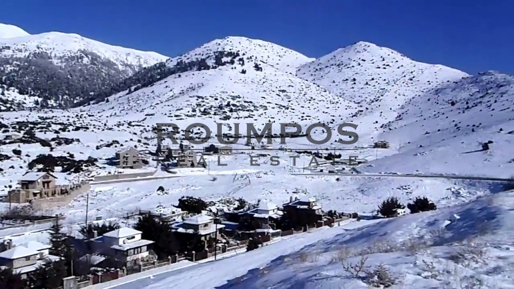 1 - vente terrain aráchova grèce centrale grèce