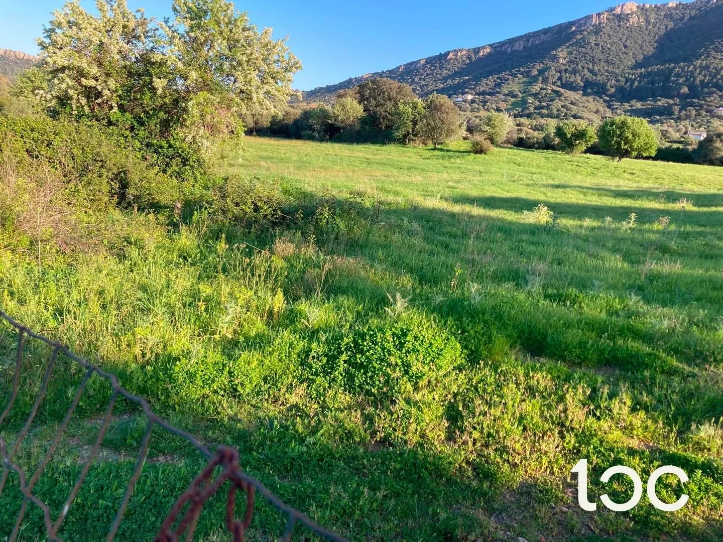 2 - vente terrain torpe' sardaigne italie