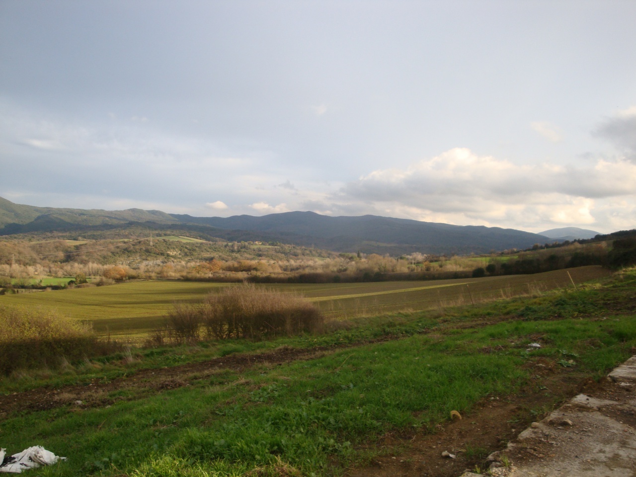 1 - business for sale in bibbona tuscany italy