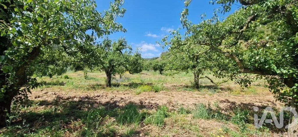 1 - venda terreno mafra região de lisboa portugal