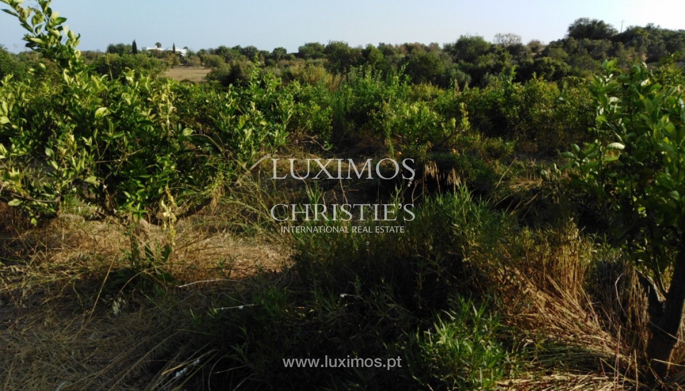1 - verkoop landgoed tavira algarve portugal