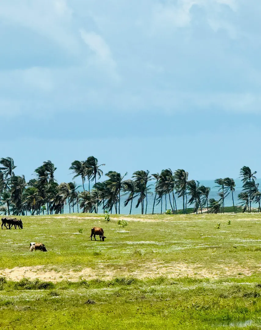 1 - venta terreno vista al mar taiba ceará brasil