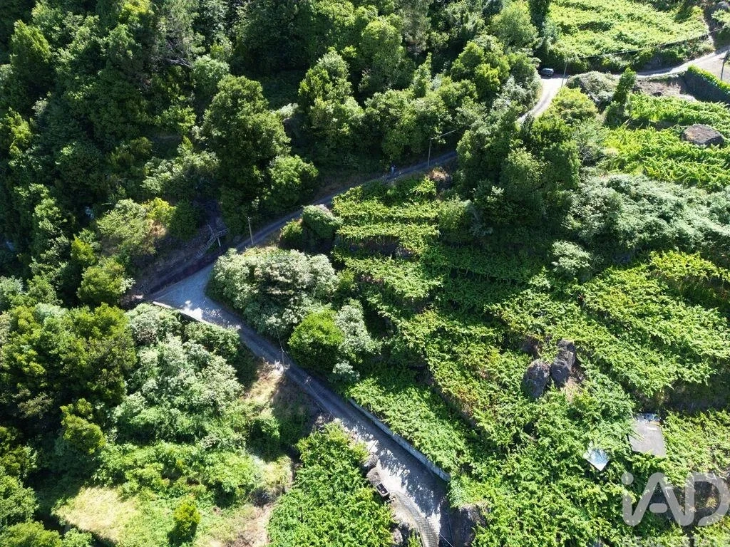 2 - plot of land for sale in são vicente madeira portugal