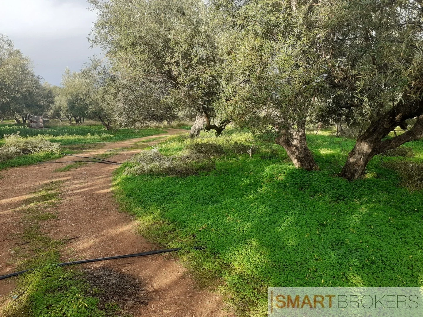 2 - vendita terreno chersonissos creta grecia