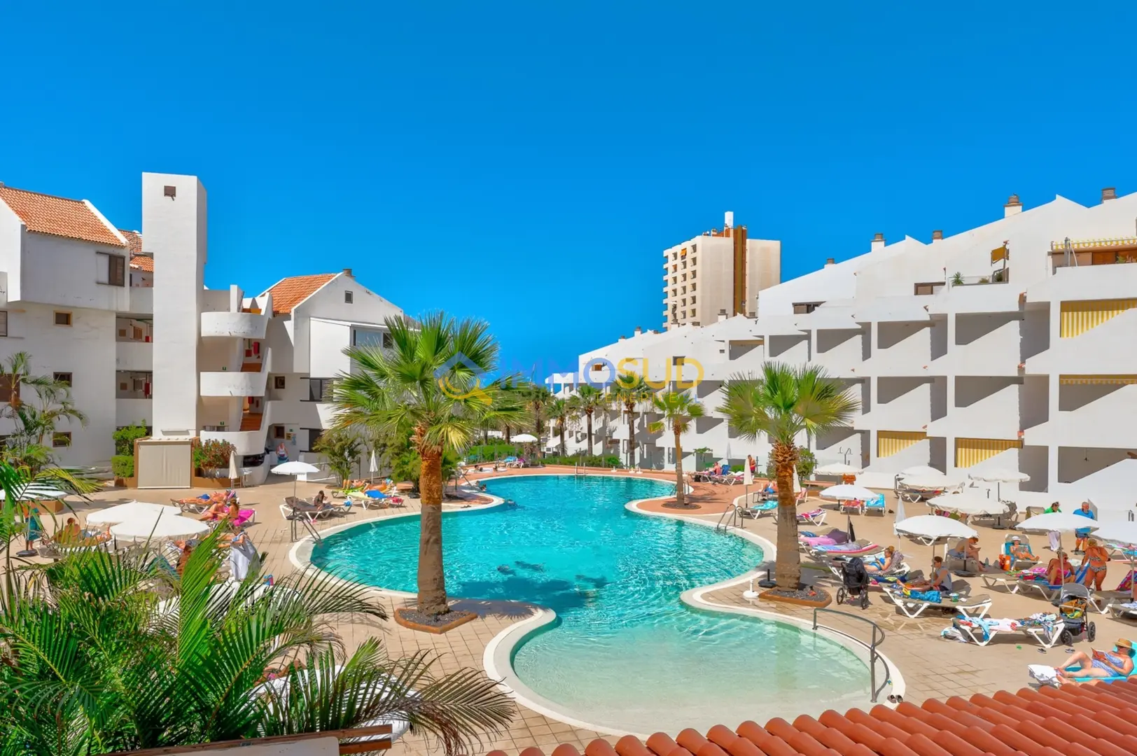1 - vendita appartamento fronte mare los cristianos tenerife - isole canarie spagna