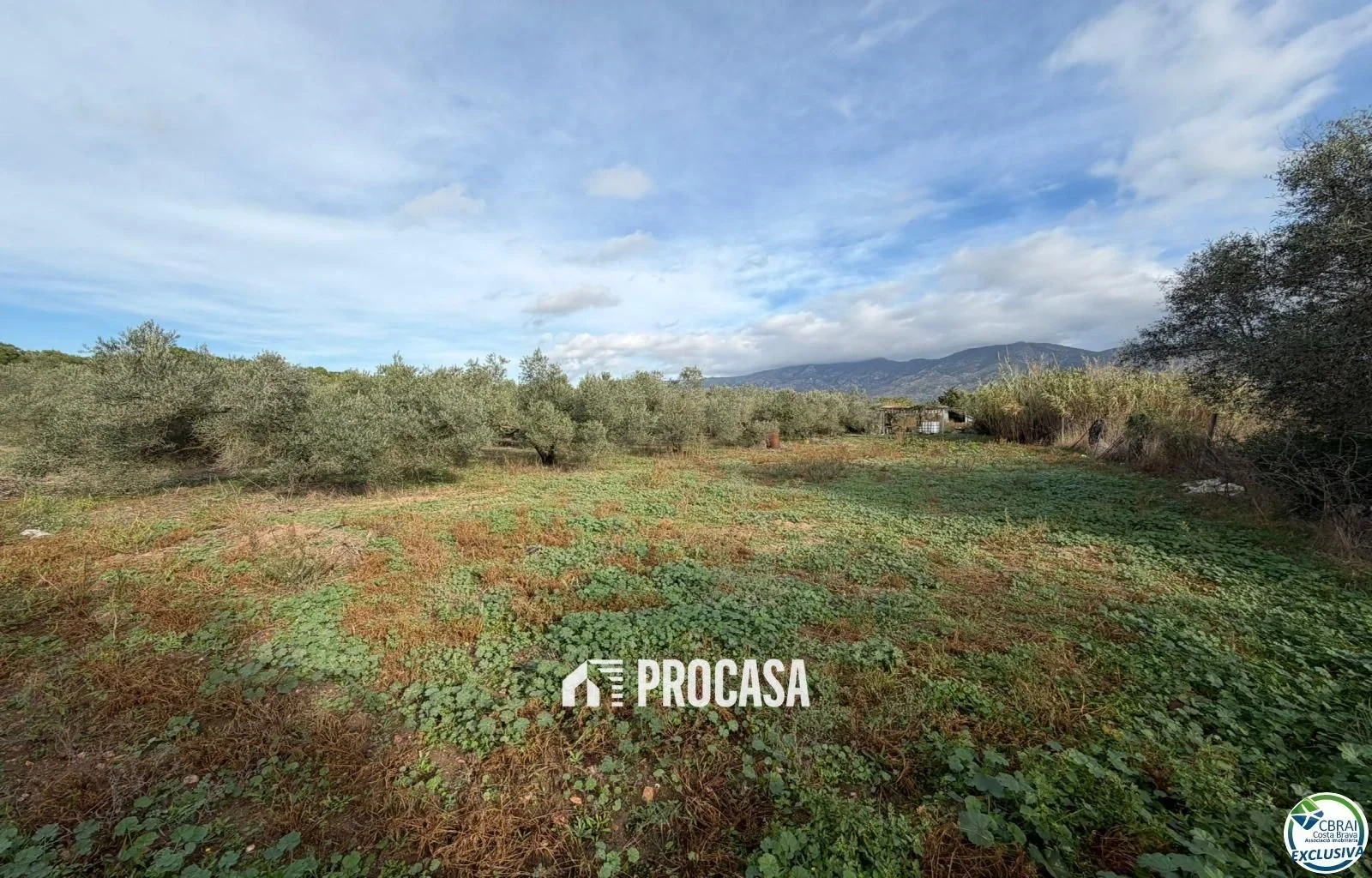 1 - venda propriedade roses catalunha espanha