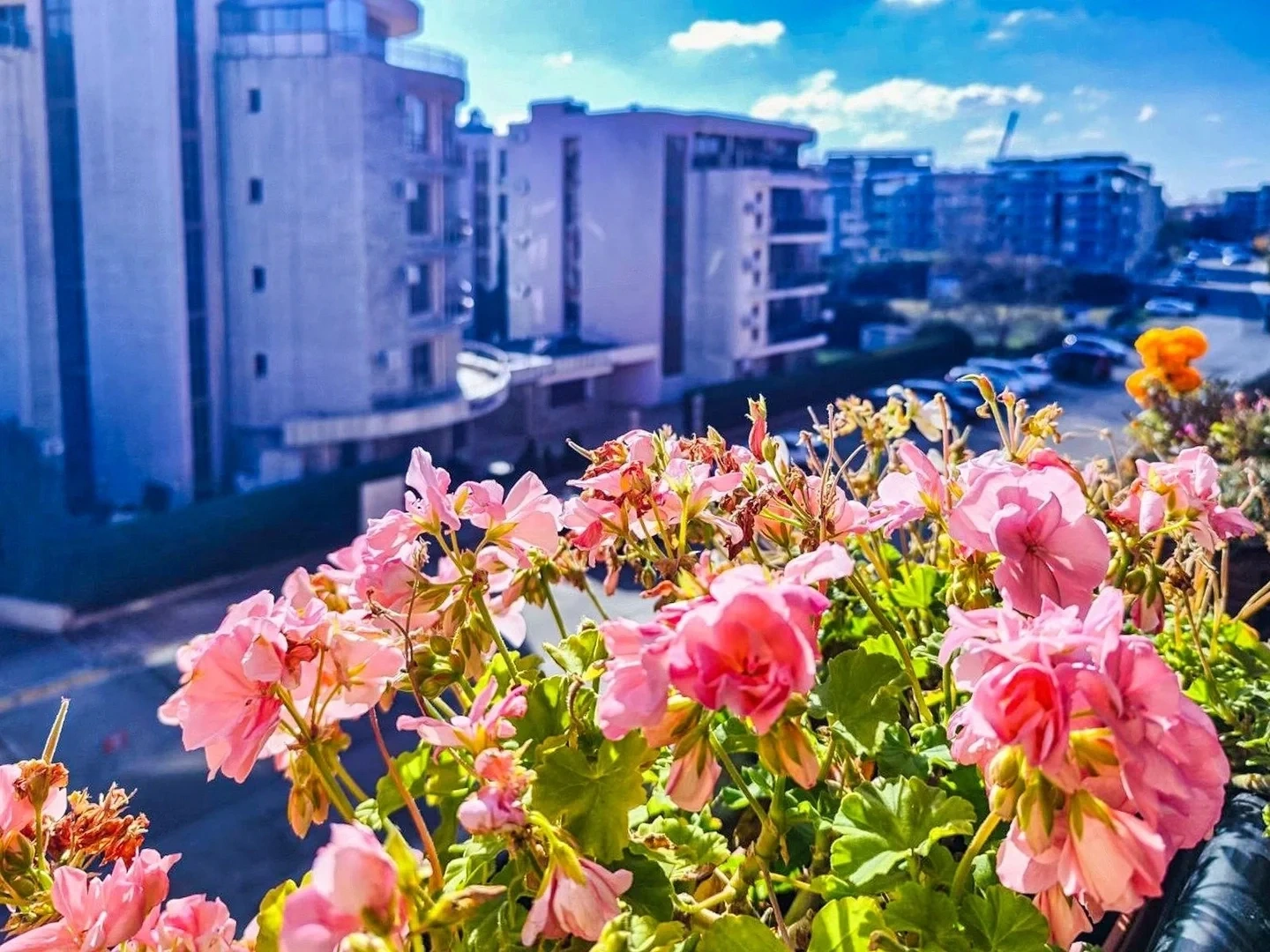 2 - vente appartement sunny beach burgas bulgarie