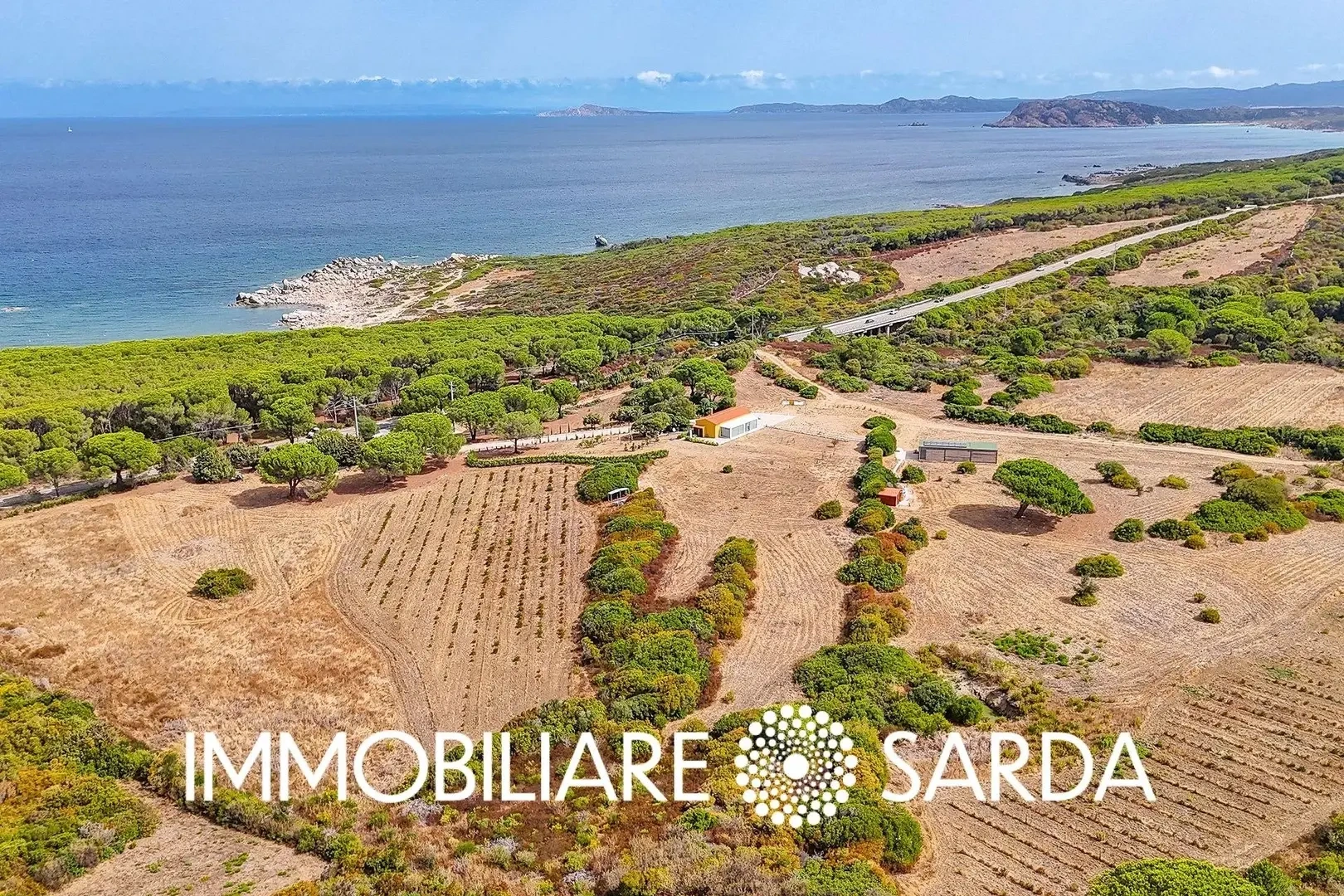 2 - vente terrain vue mer aglientu sardaigne italie