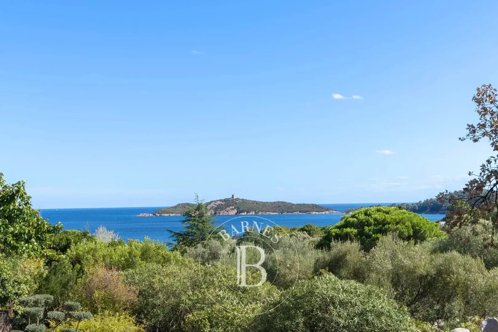 1 - vente propriété vue mer zonza corse (du-sud) france